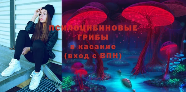дмт Россошь